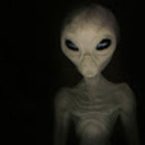 Meet your Posher, Pete